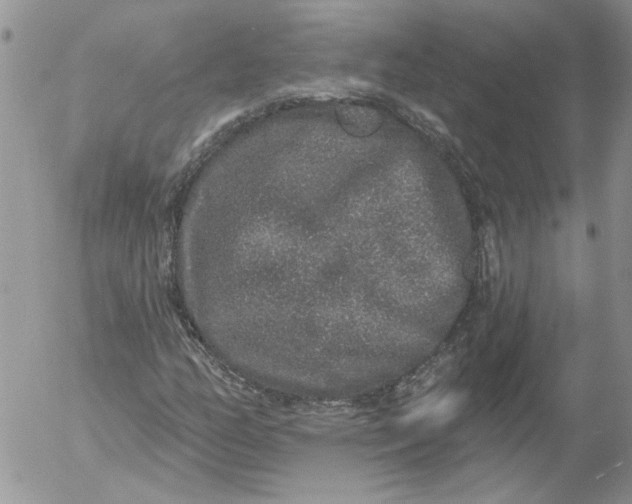 X0000053061158200508011906