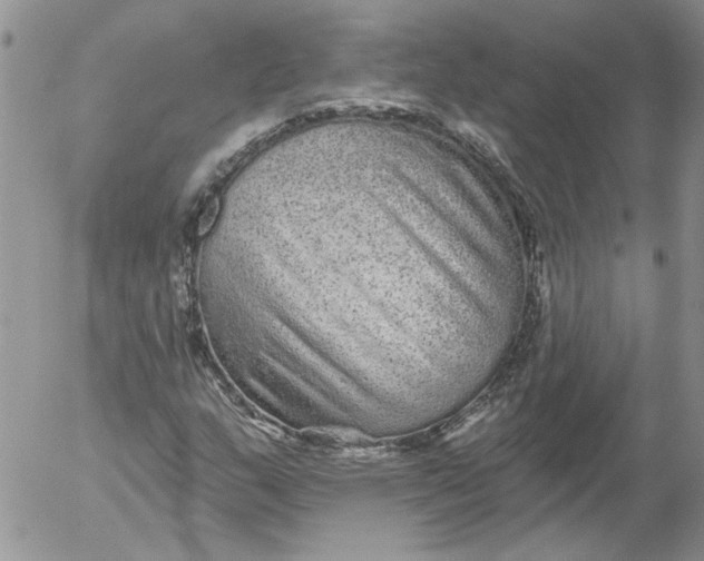 X0000053061159200508011906