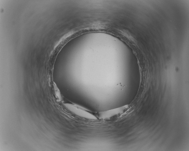 X0000053061160200508011906