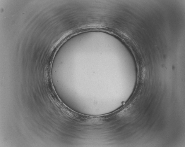 X0000053061162200508011906