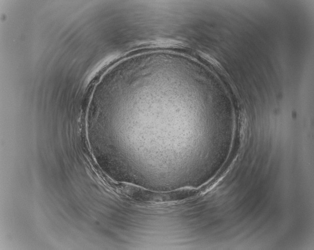 X0000053061163200508011906