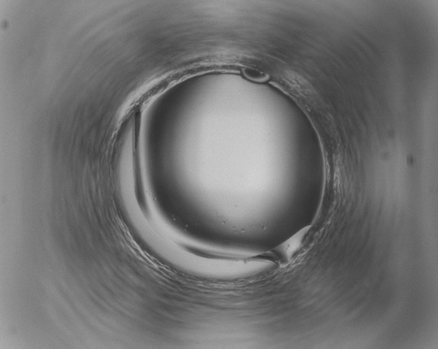 X0000053061164200508011906