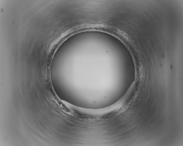 X0000053061165200508011906