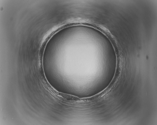 X0000053061167200508011906