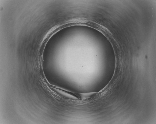 X0000053061168200508011906