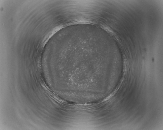 X0000053061170200508011906