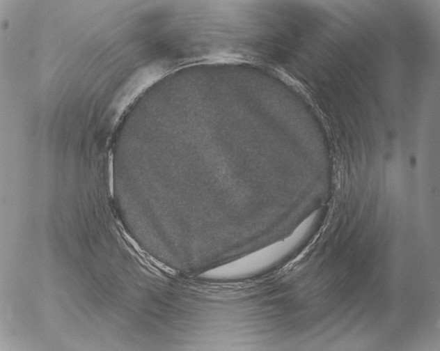 X0000053061171200508011906