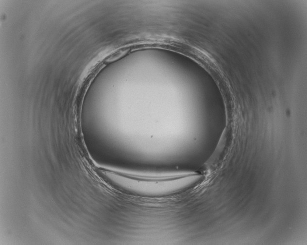 X0000053061172200508011906