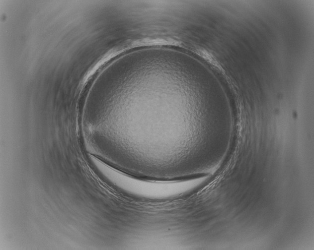 X0000053061173200508011906