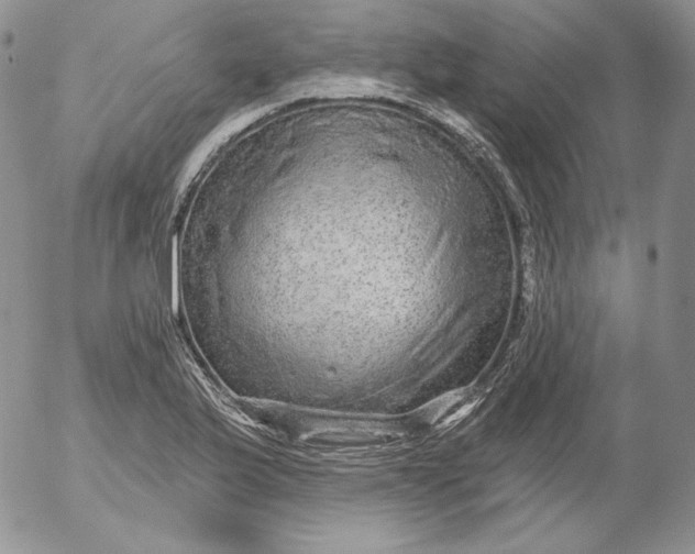 X0000053061175200508011906