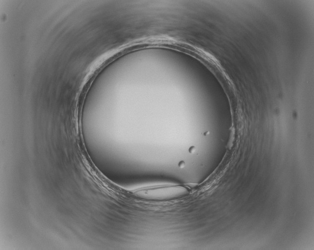 X0000053061176200508011906