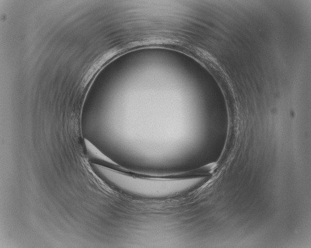 X0000053061177200508011906