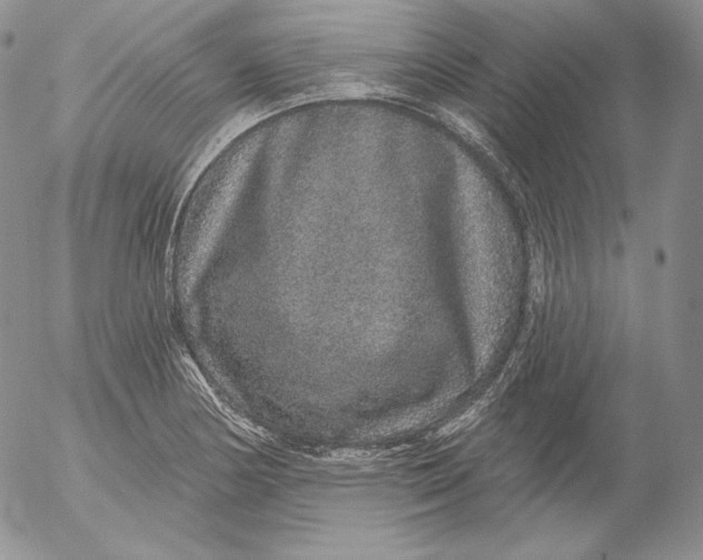 X0000053061178200508011906