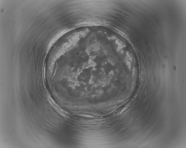 X0000053061179200508011906