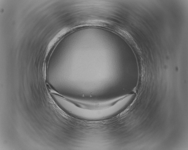 X0000053061180200508011906