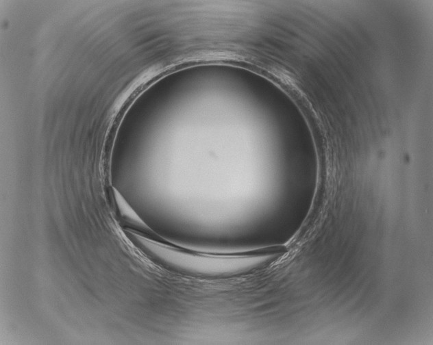 X0000053061181200508011906