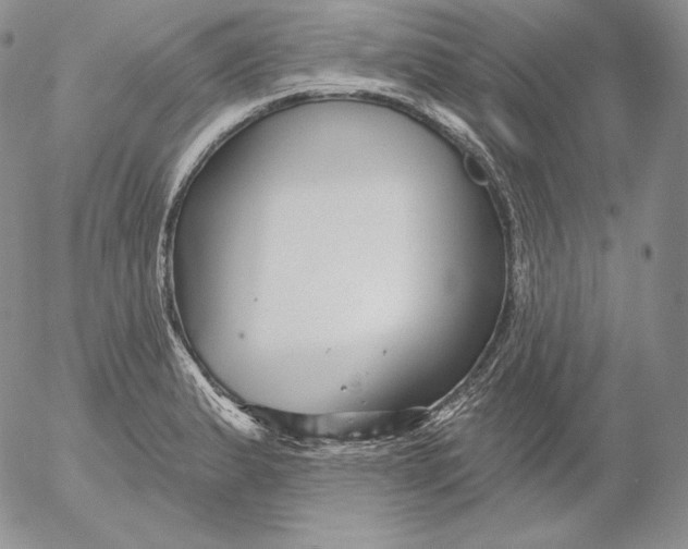 X0000053061183200508011906