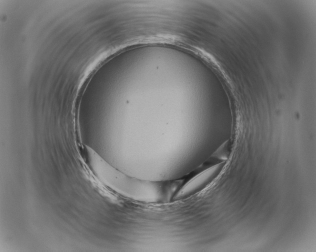 X0000053061184200508011906