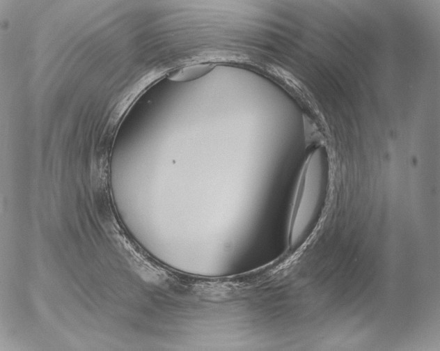 X0000053061185200508011906