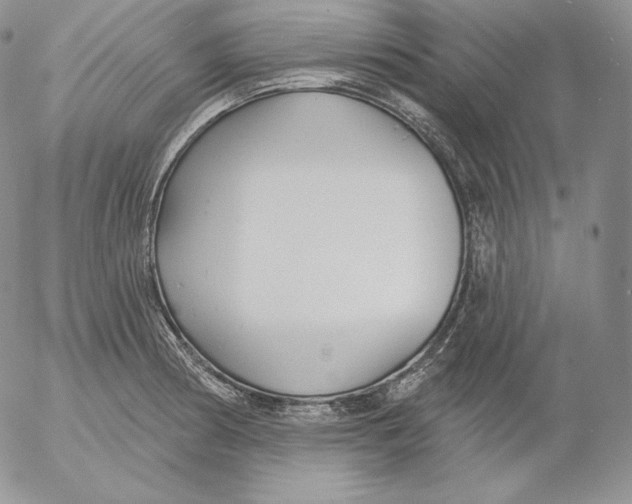 X0000053061186200508011906