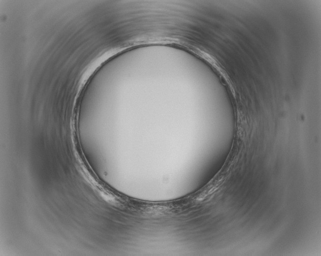 X0000053061187200508011906