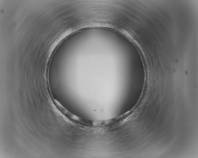 X0000053061189200508011906