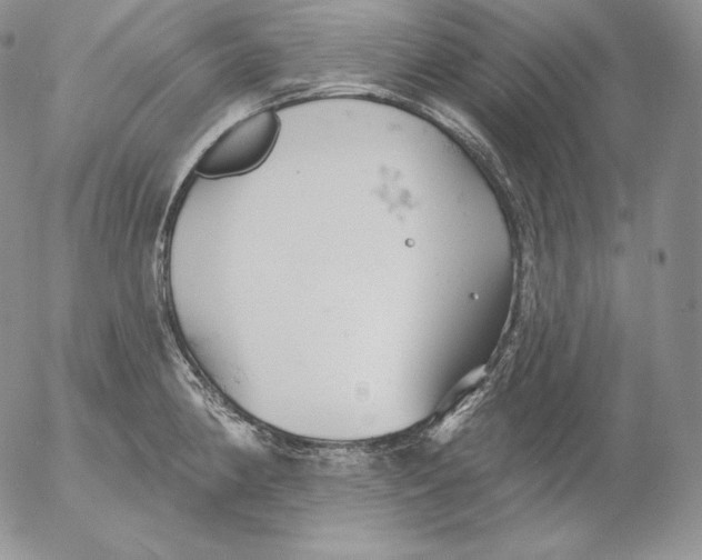 X0000053061190200508011906