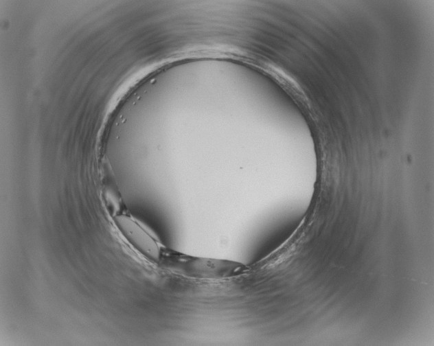 X0000053061192200508011906