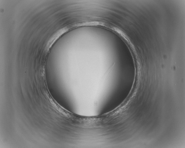 X0000053061193200508011906