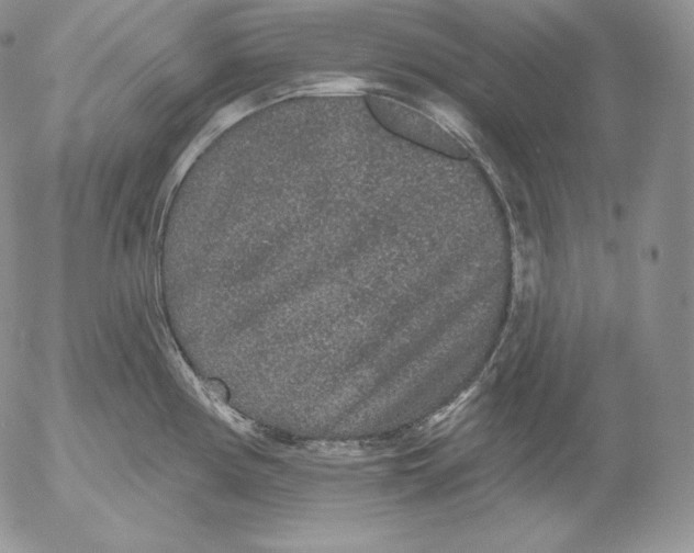 X0000053061194200508011906