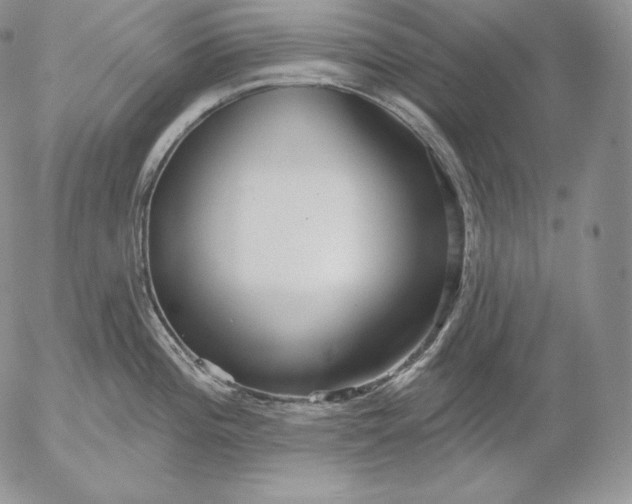 X0000053061196200508011906