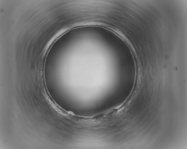 X0000053061197200508011906