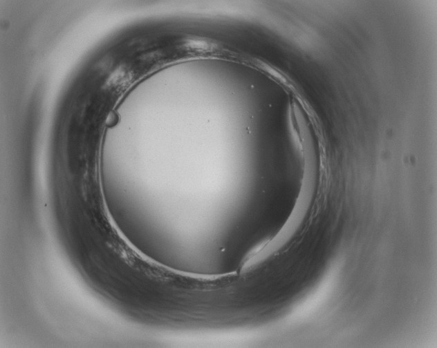 X0000053061199200508011906