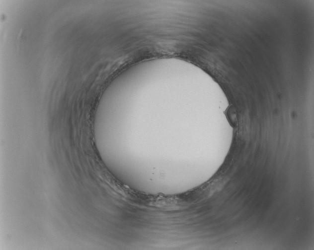 X0000053061201200508011905