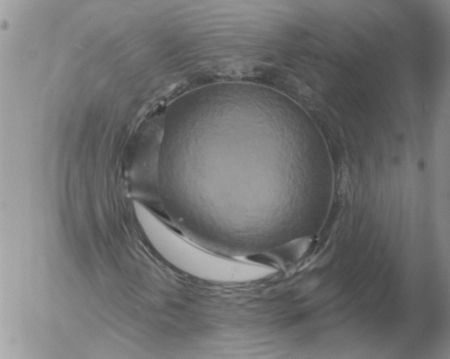 X0000053061202200508011905