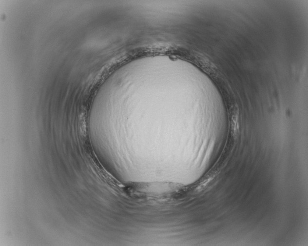 X0000053061204200508011905