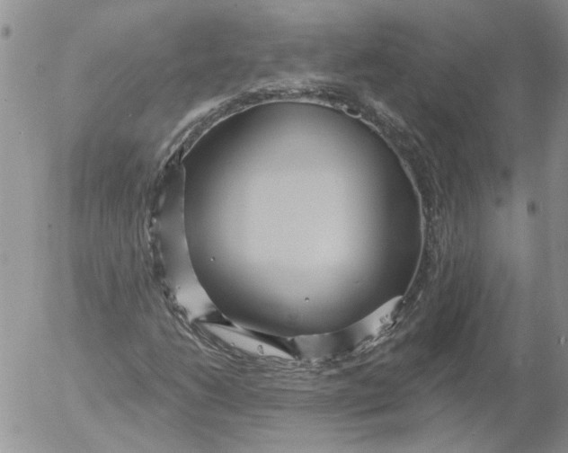 X0000053061206200508011905