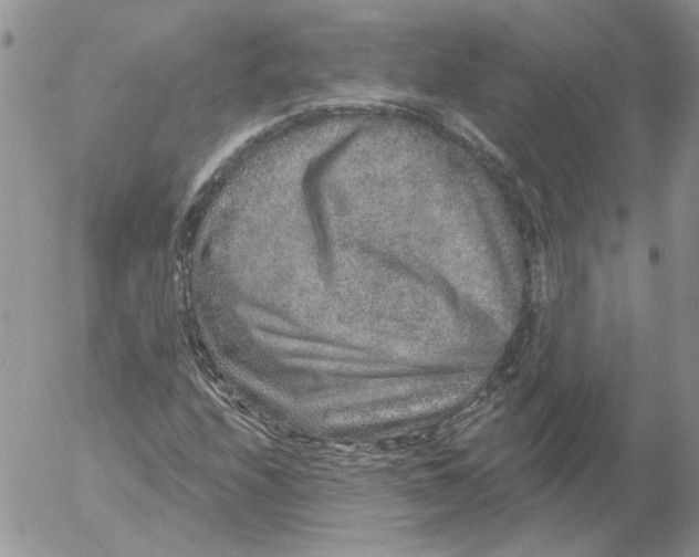 X0000053061208200508011905