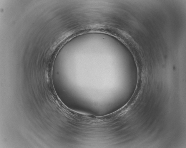 X0000053061209200508011905