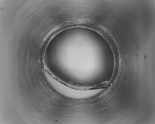 X0000053061210200508011905