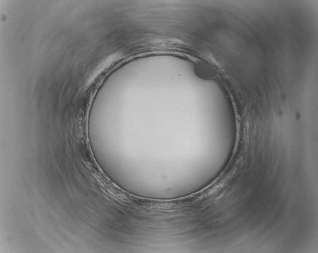 X0000053061211200508011905