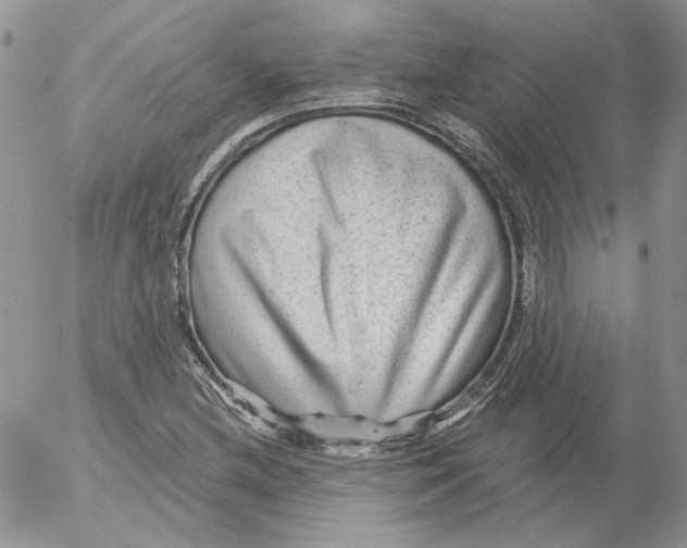 X0000053061212200508011905