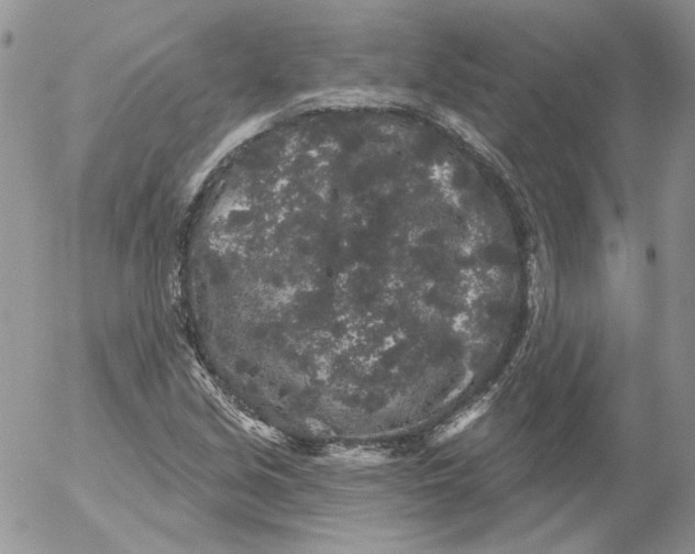 X0000053061213200508011905