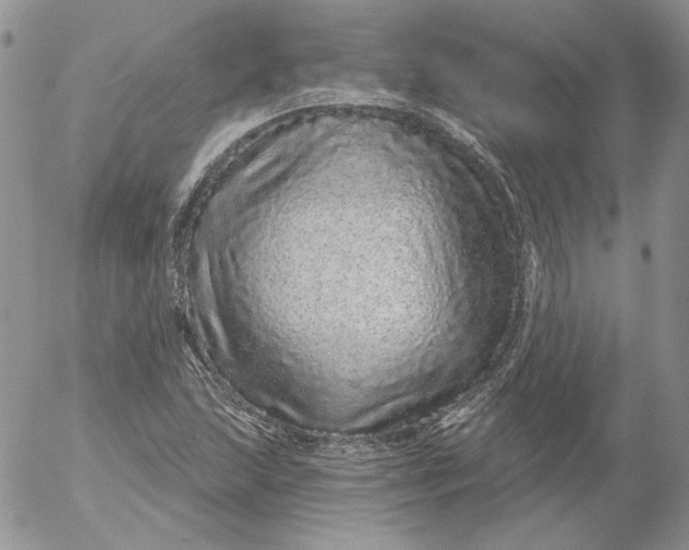 X0000053061215200508011905