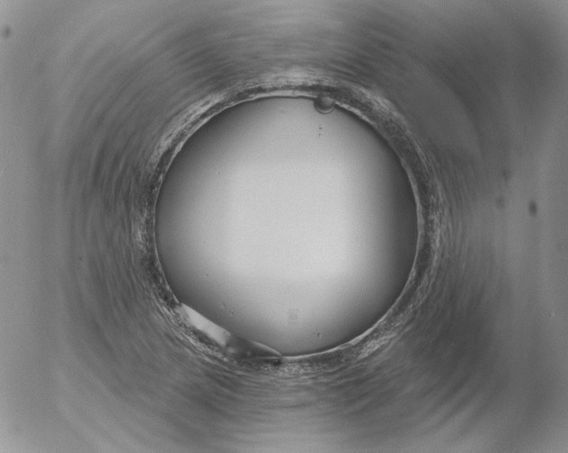 X0000053061217200508011905