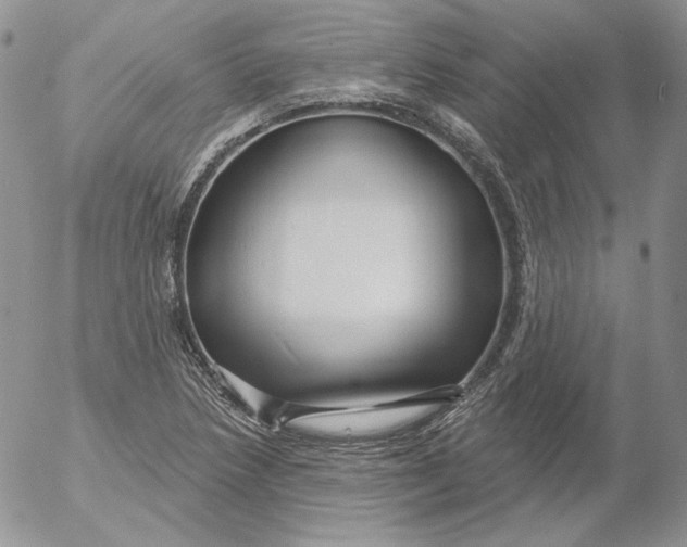 X0000053061218200508011905