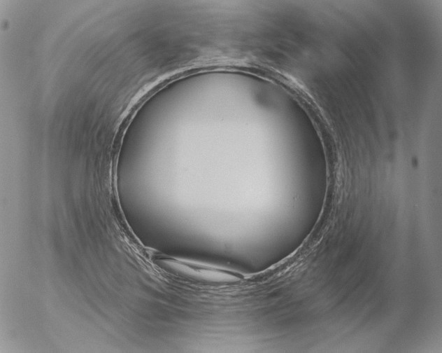 X0000053061220200508011905