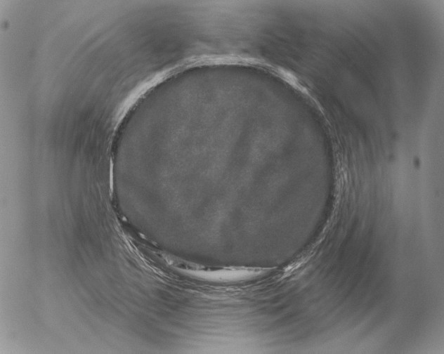 X0000053061221200508011905