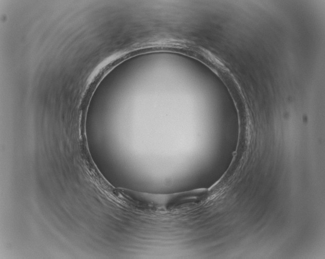 X0000053061222200508011905