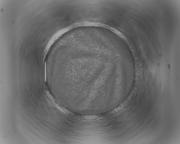 X0000053061223200508011905